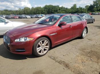  Salvage Jaguar XJ