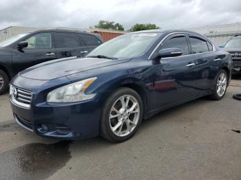  Salvage Nissan Maxima