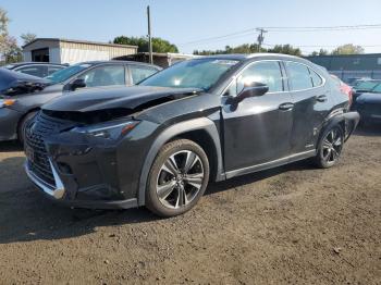  Salvage Lexus Ux