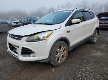  Salvage Ford Escape