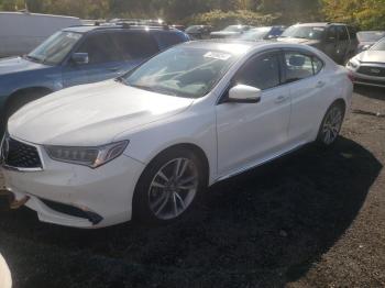  Salvage Acura TLX