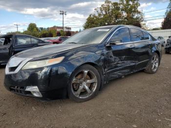  Salvage Acura TL