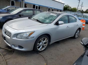  Salvage Nissan Maxima