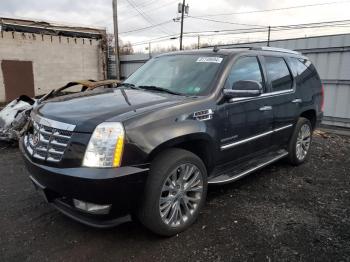  Salvage Cadillac Escalade