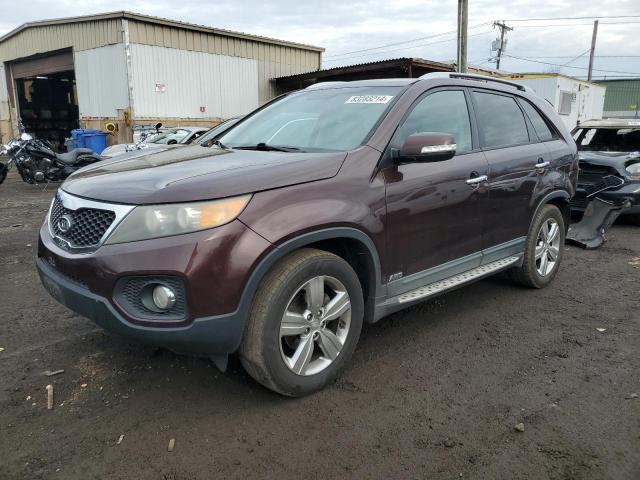  Salvage Kia Sorento