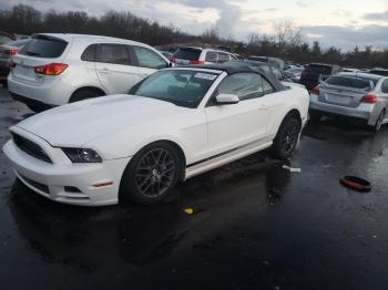  Salvage Ford Mustang