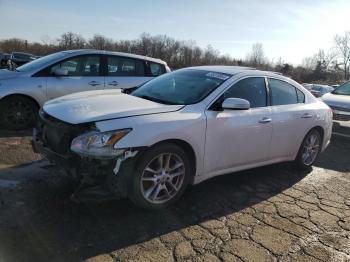  Salvage Nissan Maxima