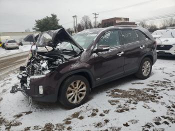  Salvage Kia Sorento