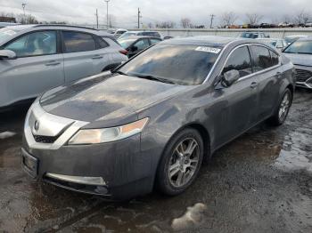  Salvage Acura TL