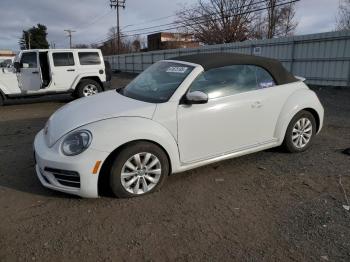  Salvage Volkswagen Beetle