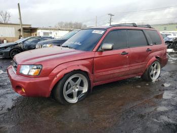  Salvage Subaru Forester