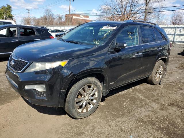  Salvage Kia Sorento