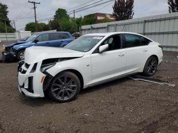  Salvage Cadillac CT5