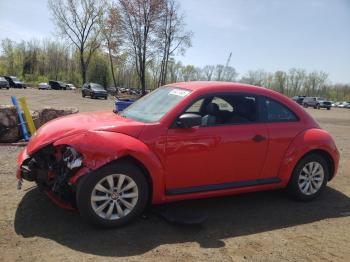  Salvage Volkswagen Beetle