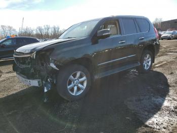 Salvage Lexus Gx