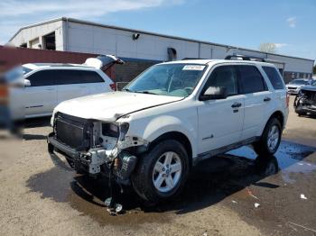  Salvage Ford Escape