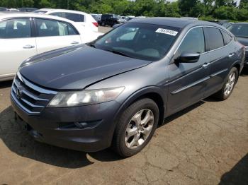  Salvage Honda Crosstour