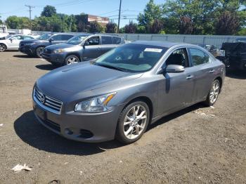  Salvage Nissan Maxima