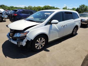  Salvage Honda Odyssey