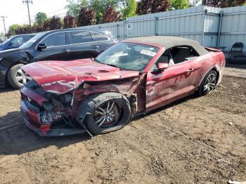  Salvage Ford Mustang