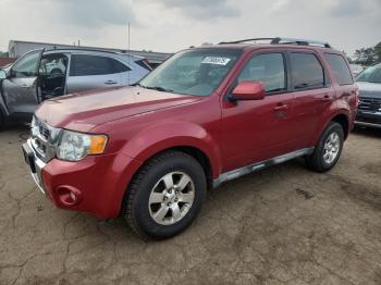 Salvage Ford Escape