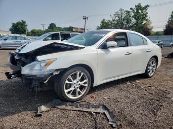 Salvage Nissan Maxima