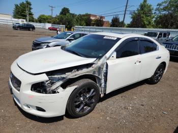  Salvage Nissan Maxima