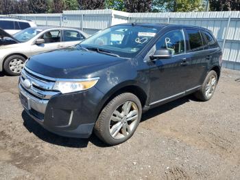  Salvage Ford Edge