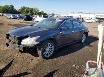  Salvage Nissan Maxima