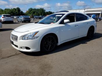  Salvage Nissan Maxima