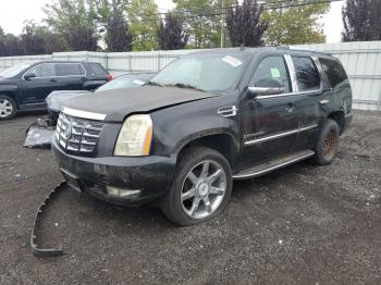  Salvage Cadillac Escalade