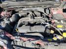 Subaru Forester 2.5i Limited Image 11