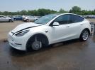 Tesla Model Y Image 1