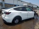 Tesla Model Y Image 2