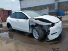 Tesla Model Y Image 3