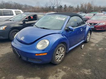  Salvage Volkswagen Beetle