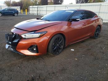  Salvage Nissan Maxima