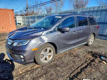 2020 Honda Odyssey 5FNRL6H77LB******