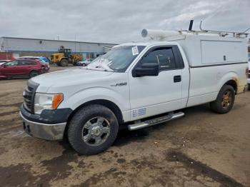  Salvage Ford F-150