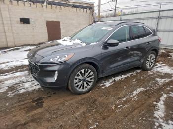  Salvage Ford Escape