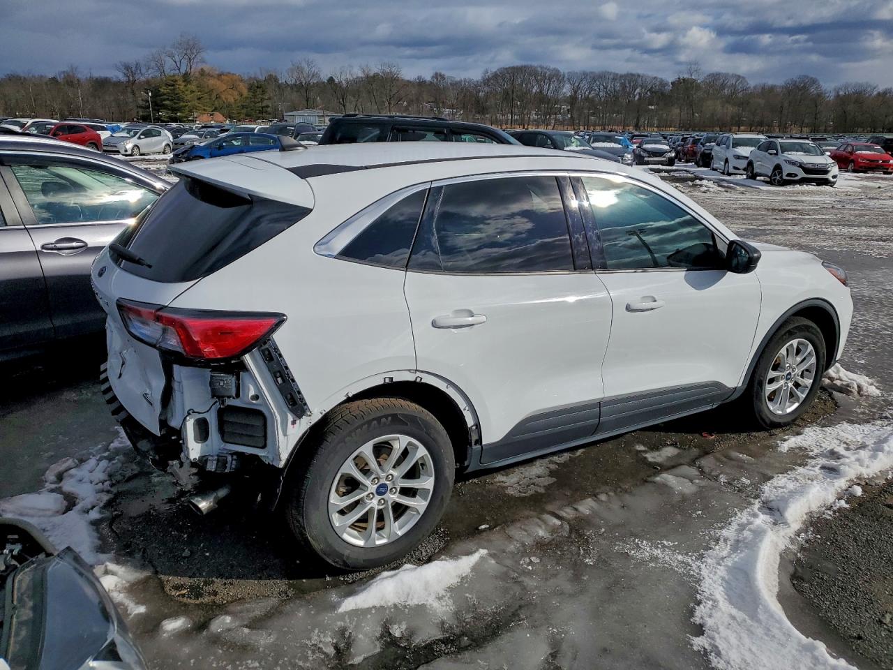 Ford Escape Se Image 4