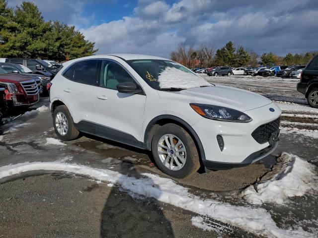 Ford Escape Se Image 6