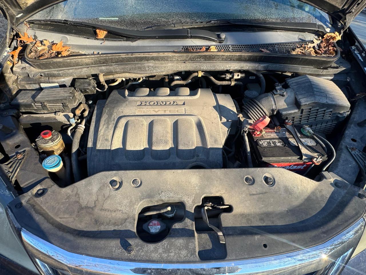 Honda Odyssey Ex Image 11