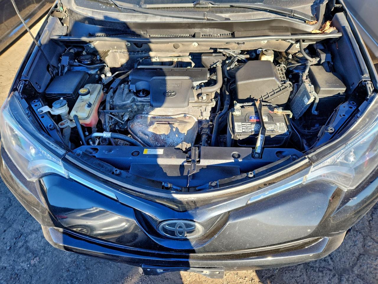 Toyota RAV4 Le Image 12