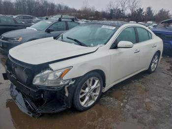  Salvage Nissan Maxima