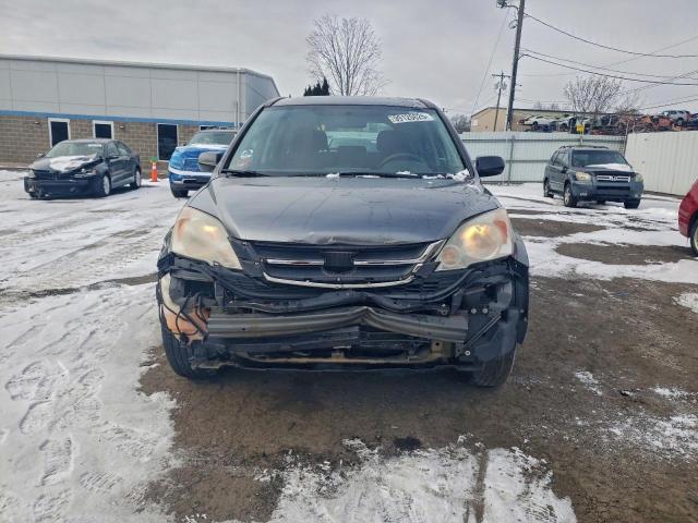 Honda Crv Lx Image 10