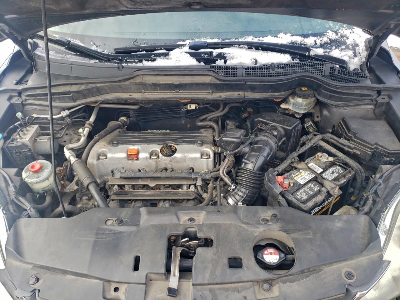 Honda Crv Lx Image 4