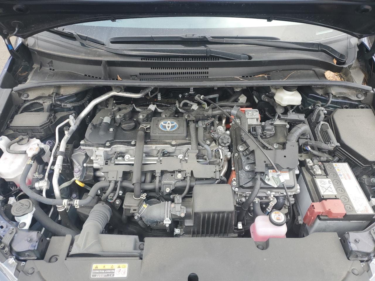 Toyota Corolla Le Image 12