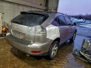 Lexus RX 330 Image 2