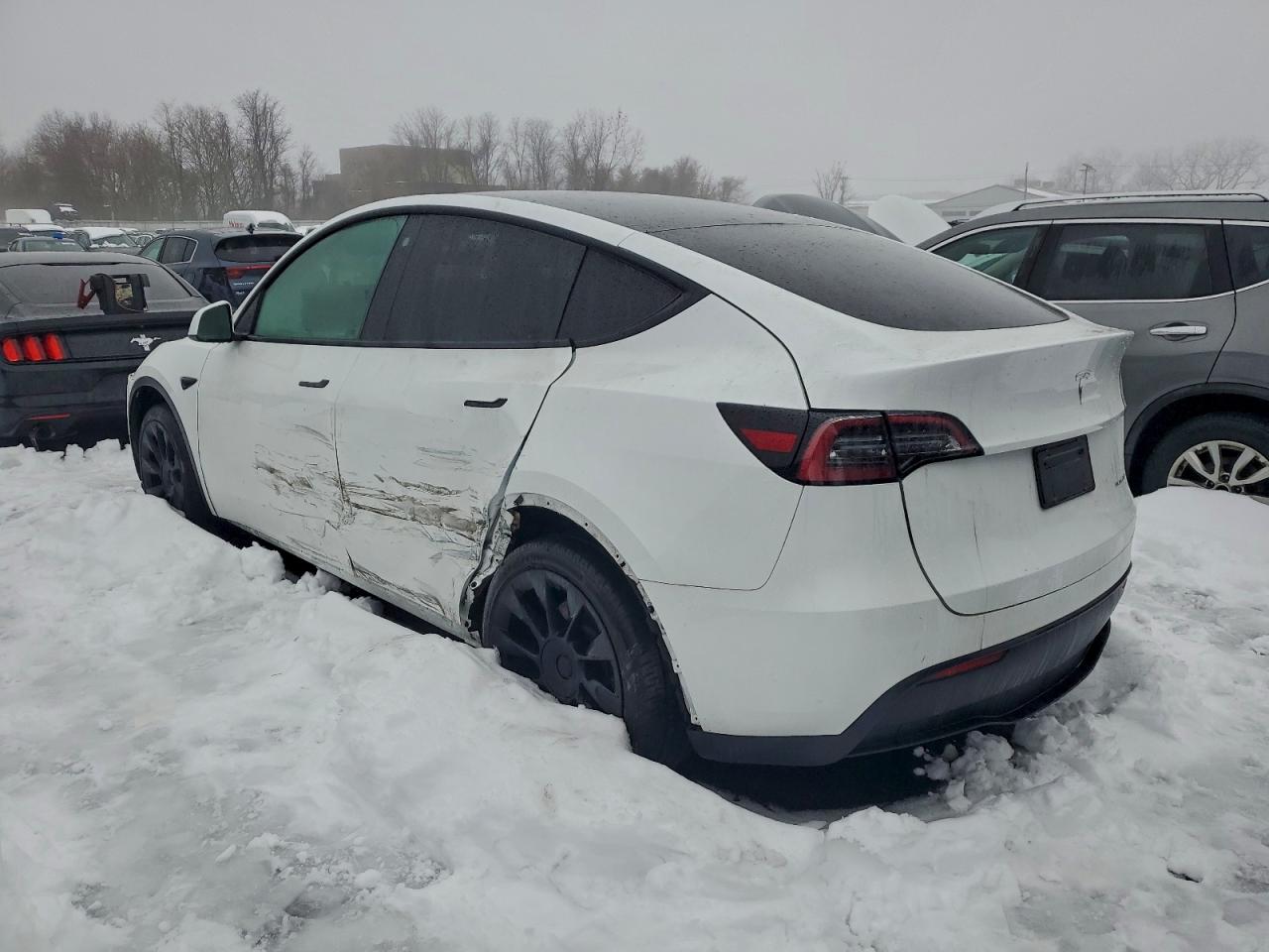 Tesla Model Y Image 2